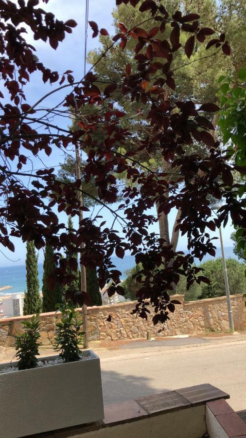 Mediterrania 98 Torroella de Montgrí Extérieur photo